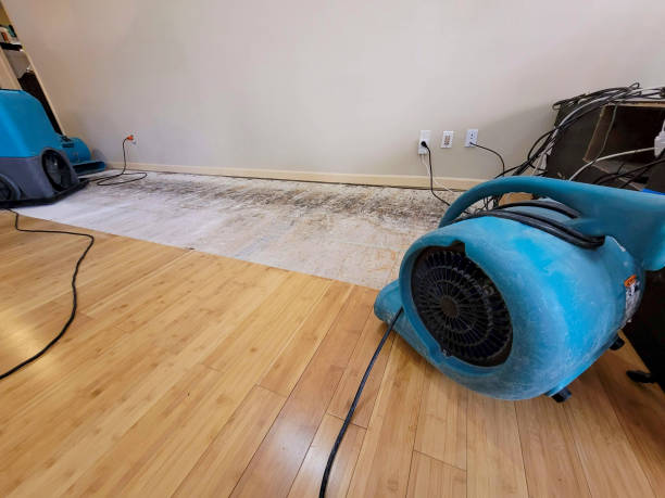 Professional Water Damage Repair technician working in Benge, WA
